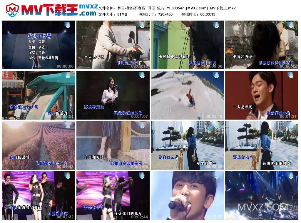 梦语-爹妈不容易_国语_流行_YE300547